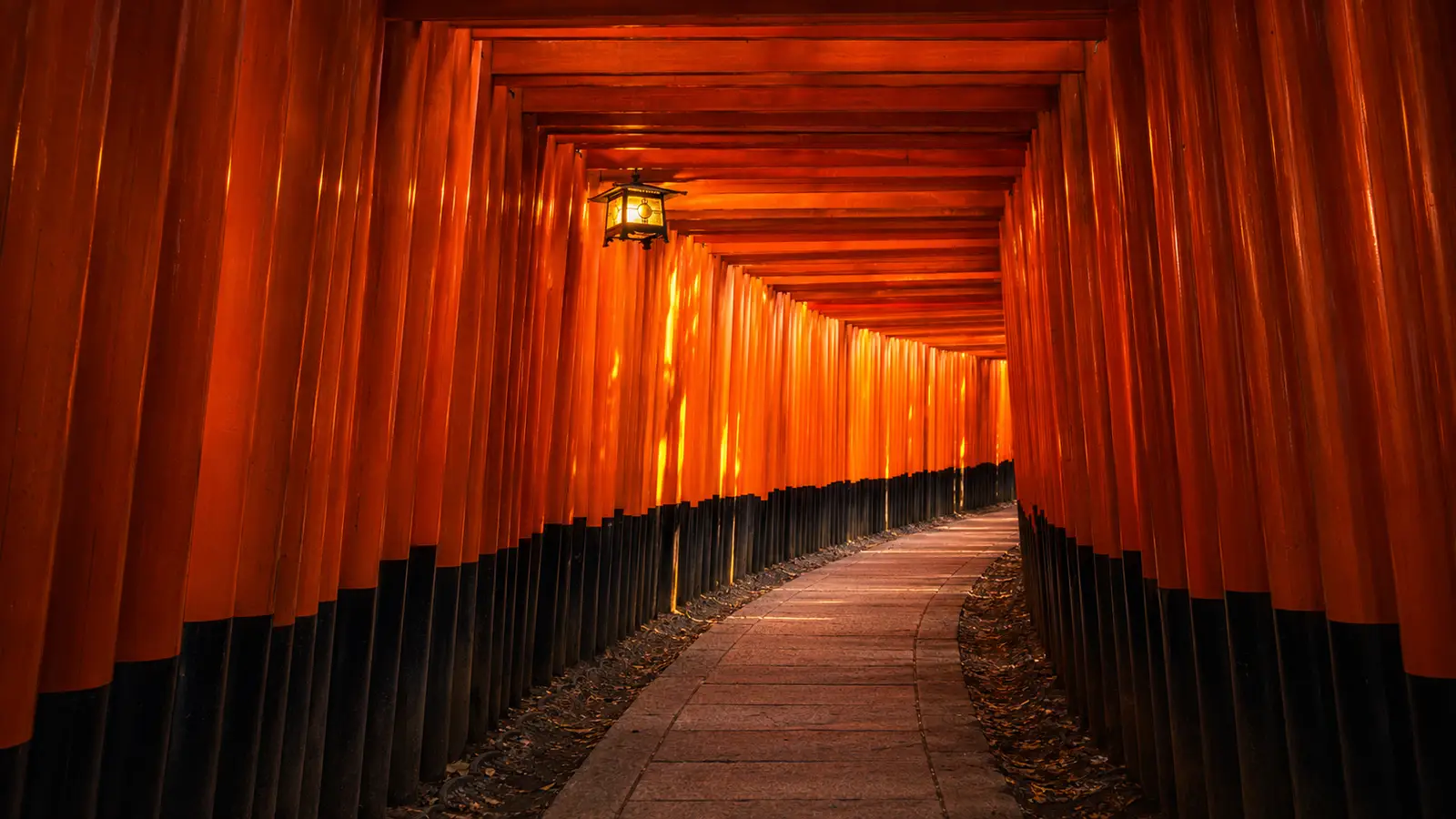 Fushima inari